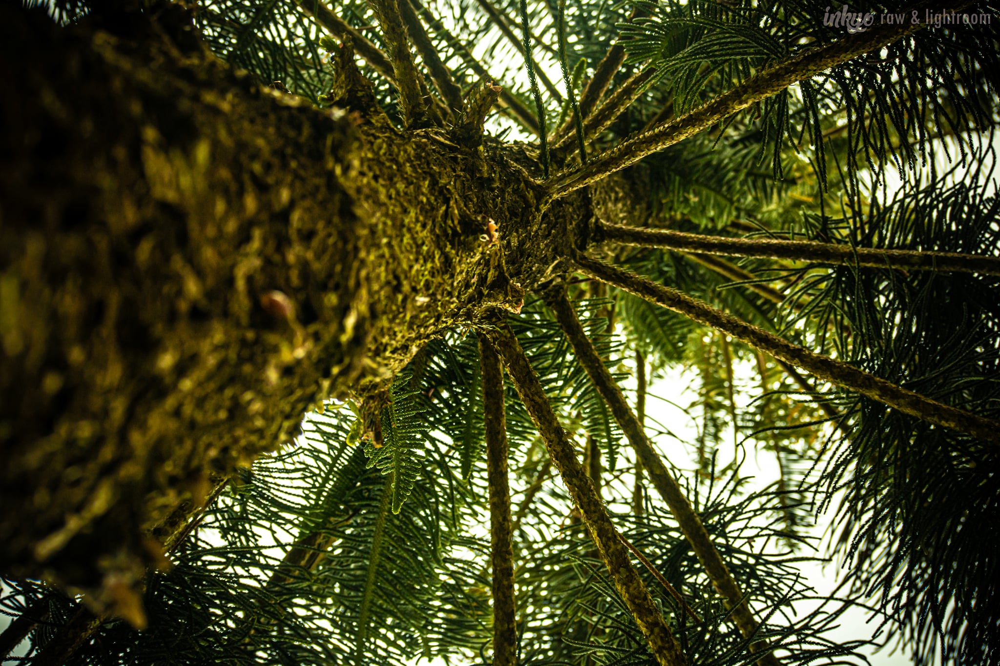 Adventure Photo 3